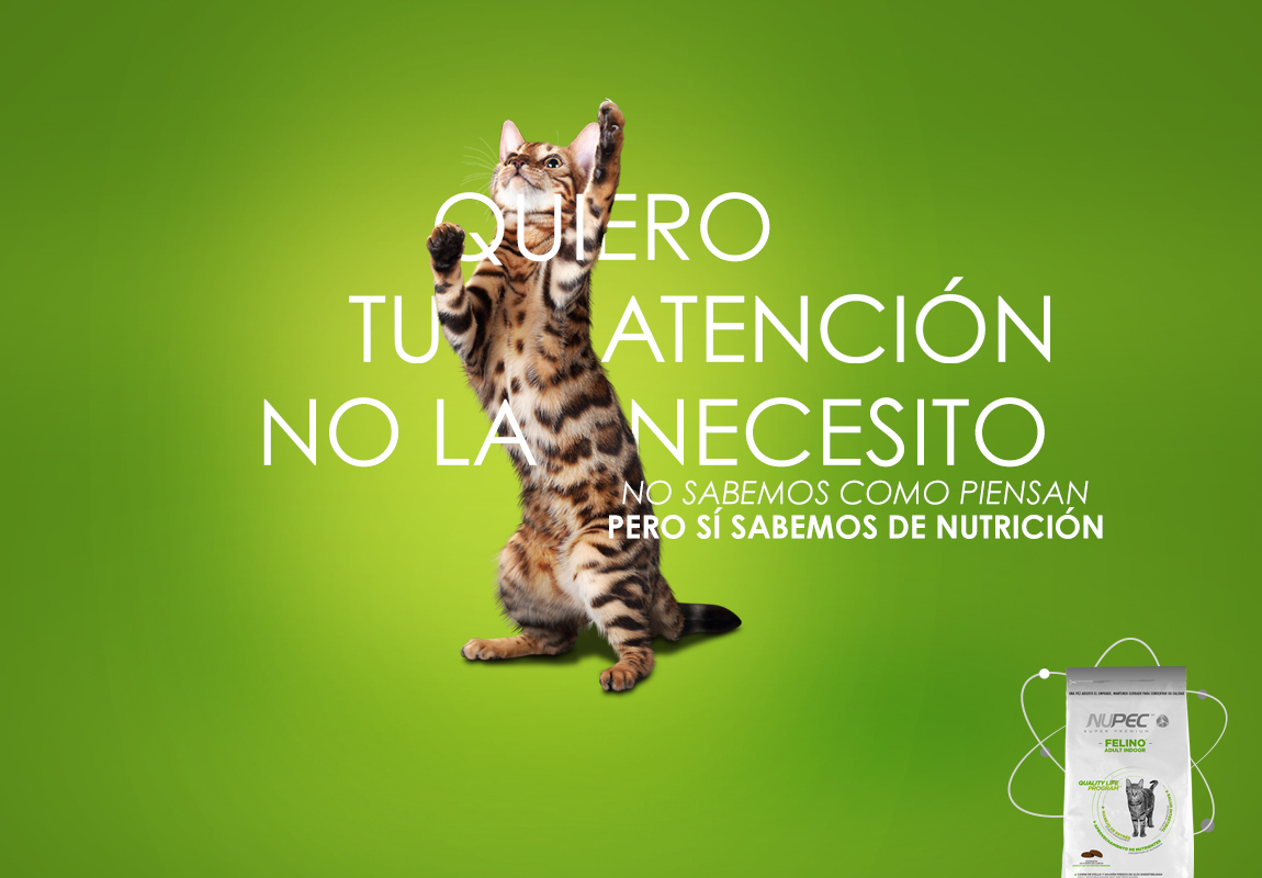 Nupec
